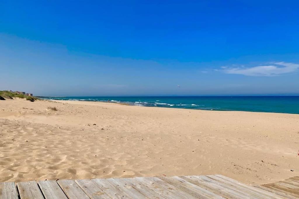Azul Beach By La Mata Beach Торрев'єха Екстер'єр фото